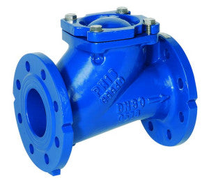 Check Valves