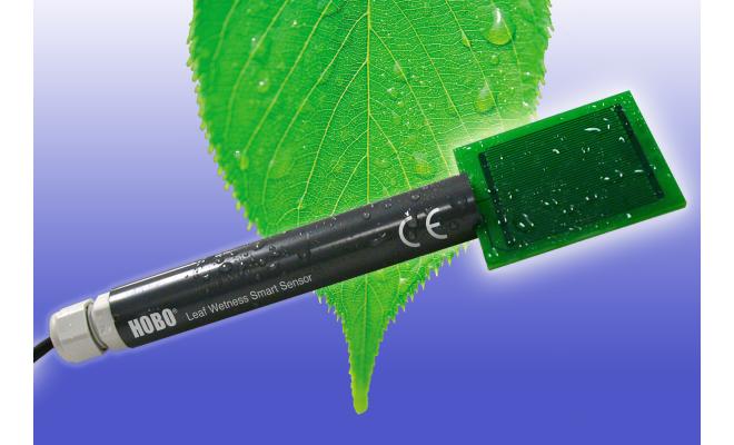 Hobo Leaf Wetness Smart Sensor
