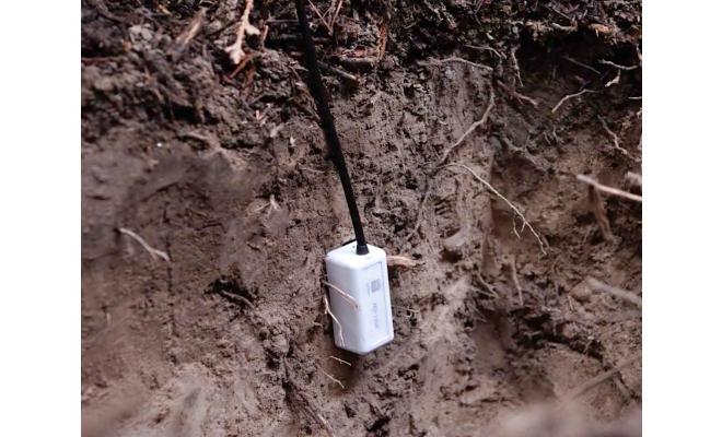 HOBO MX Soil Moisture and Temperature Data Logger