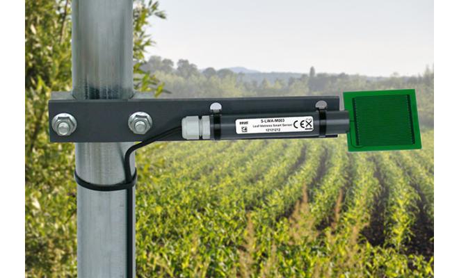 Hobo Leaf Wetness Smart Sensor